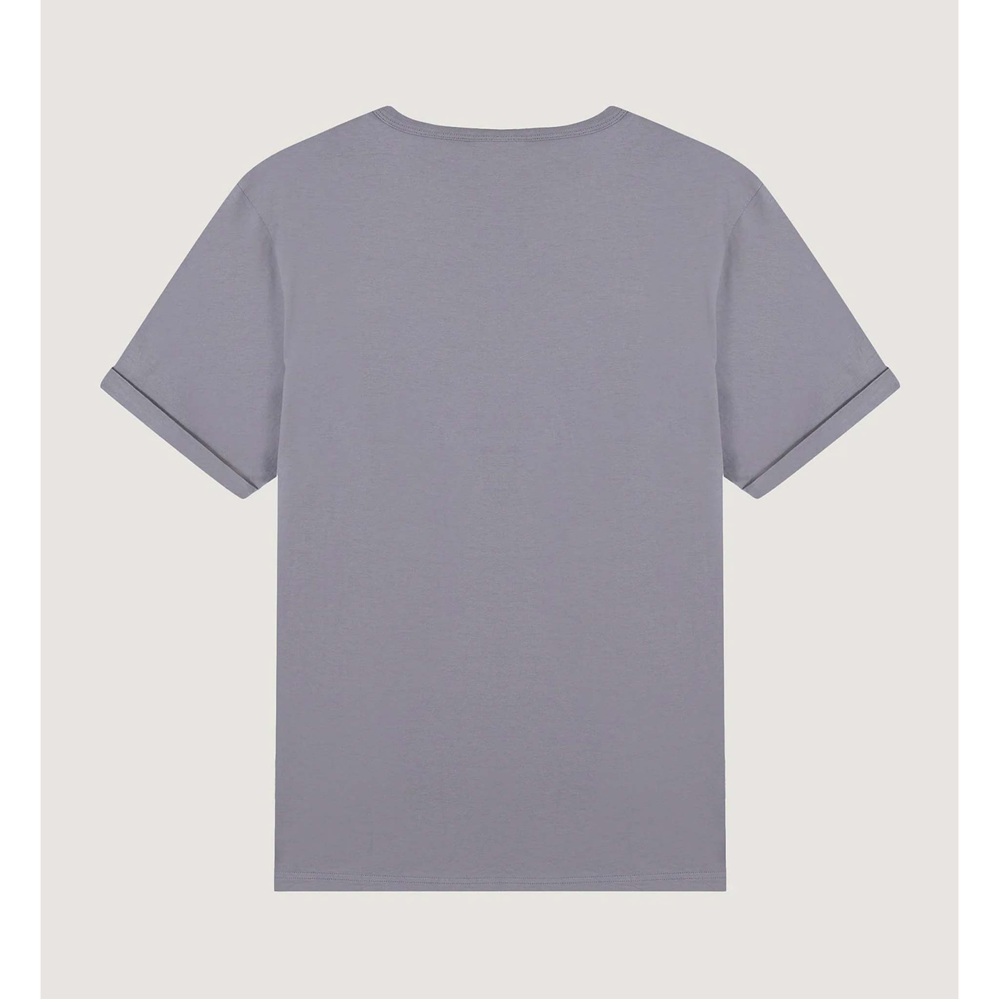 Sun Mountain T Shirt in Ash Grey