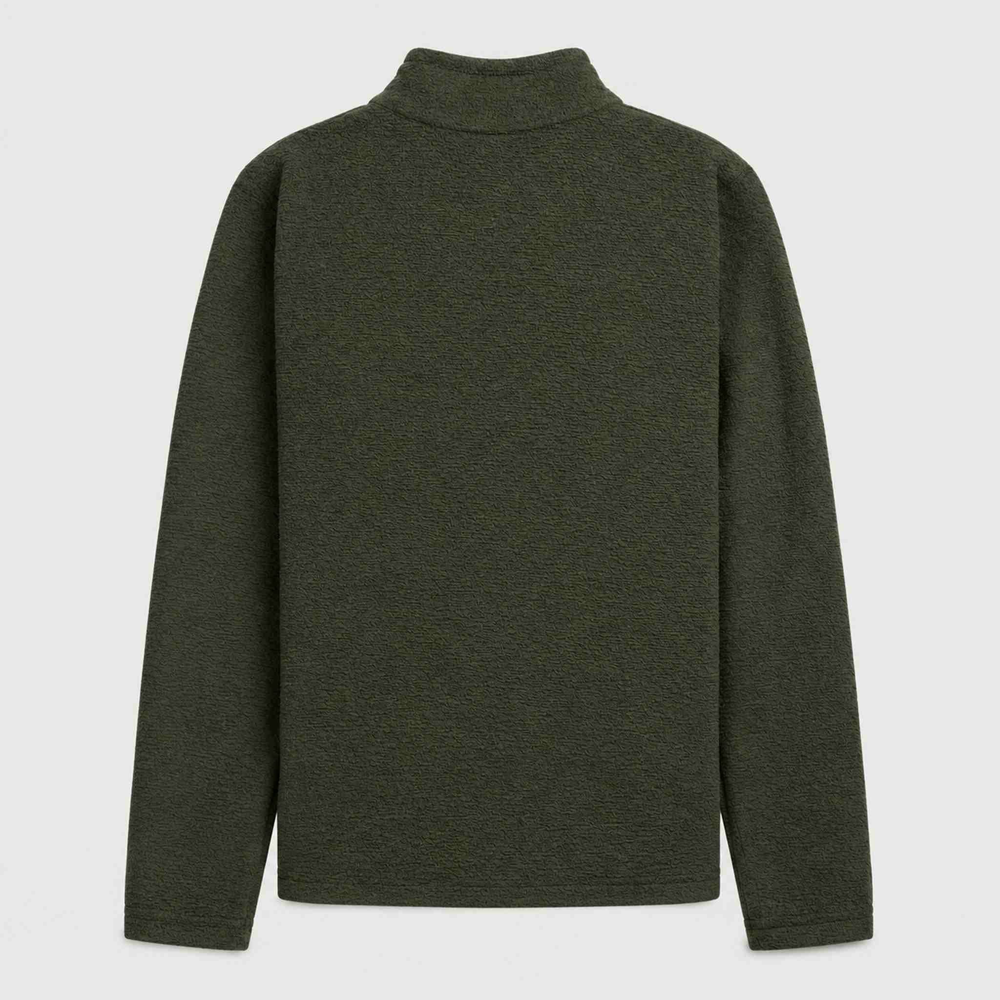 Amundsen Hut Half Zip in Spruce Green, back product view.