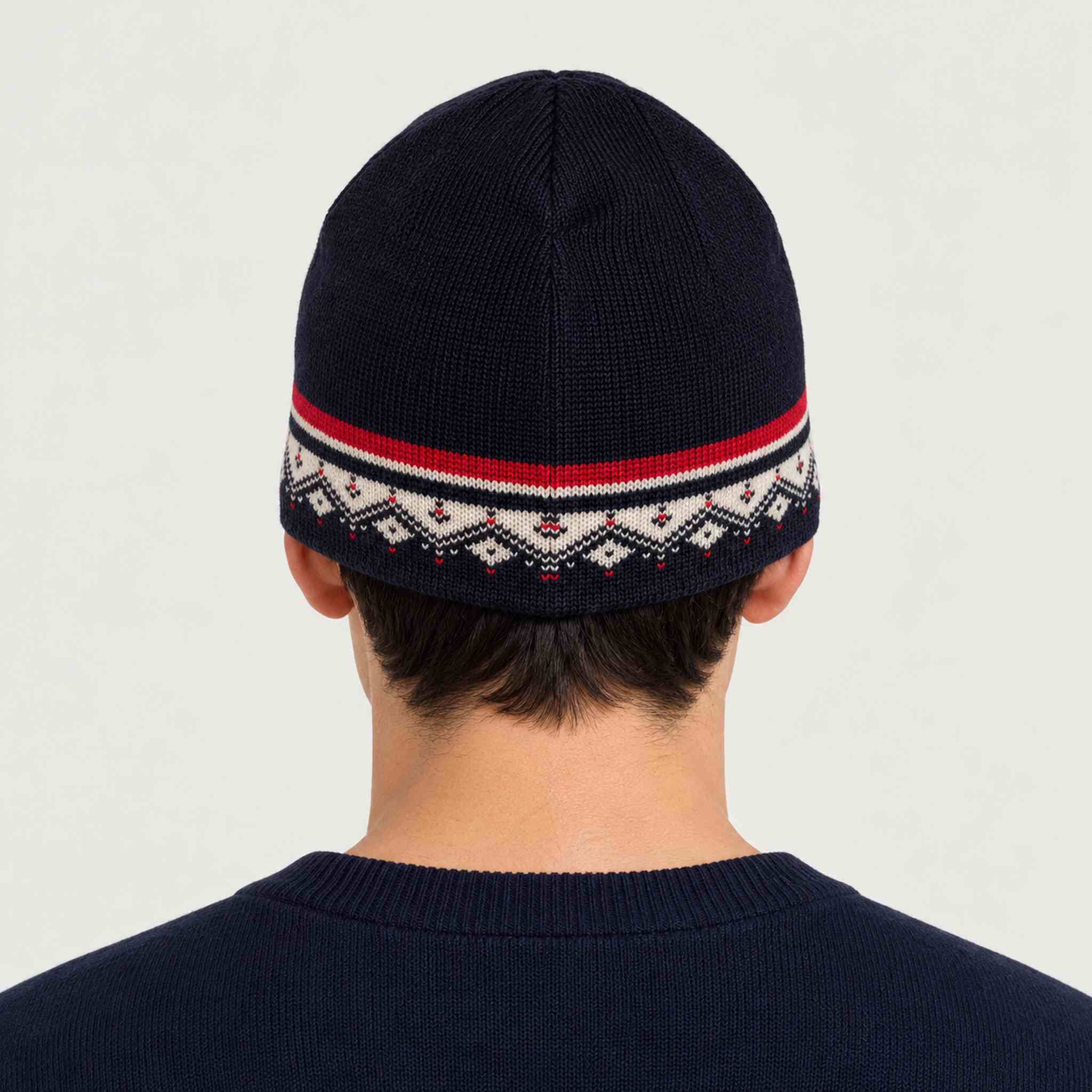 Dale of Norway Moritz Hat in Navy - male back