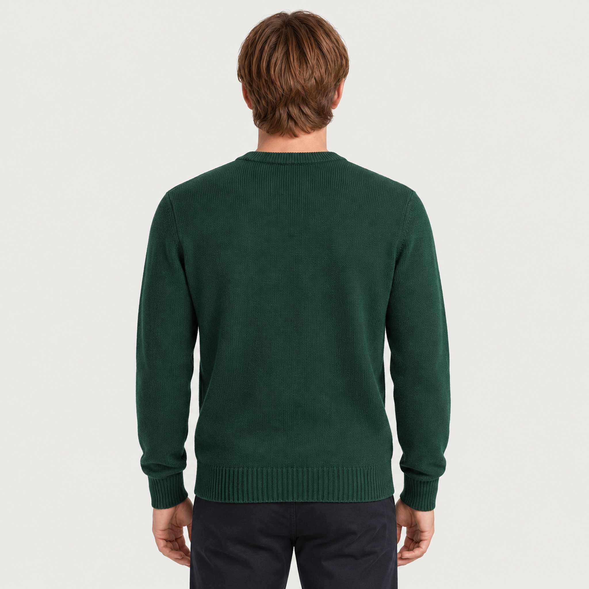 MC2 Saint Barth mens apres ski club sweater in green - model back