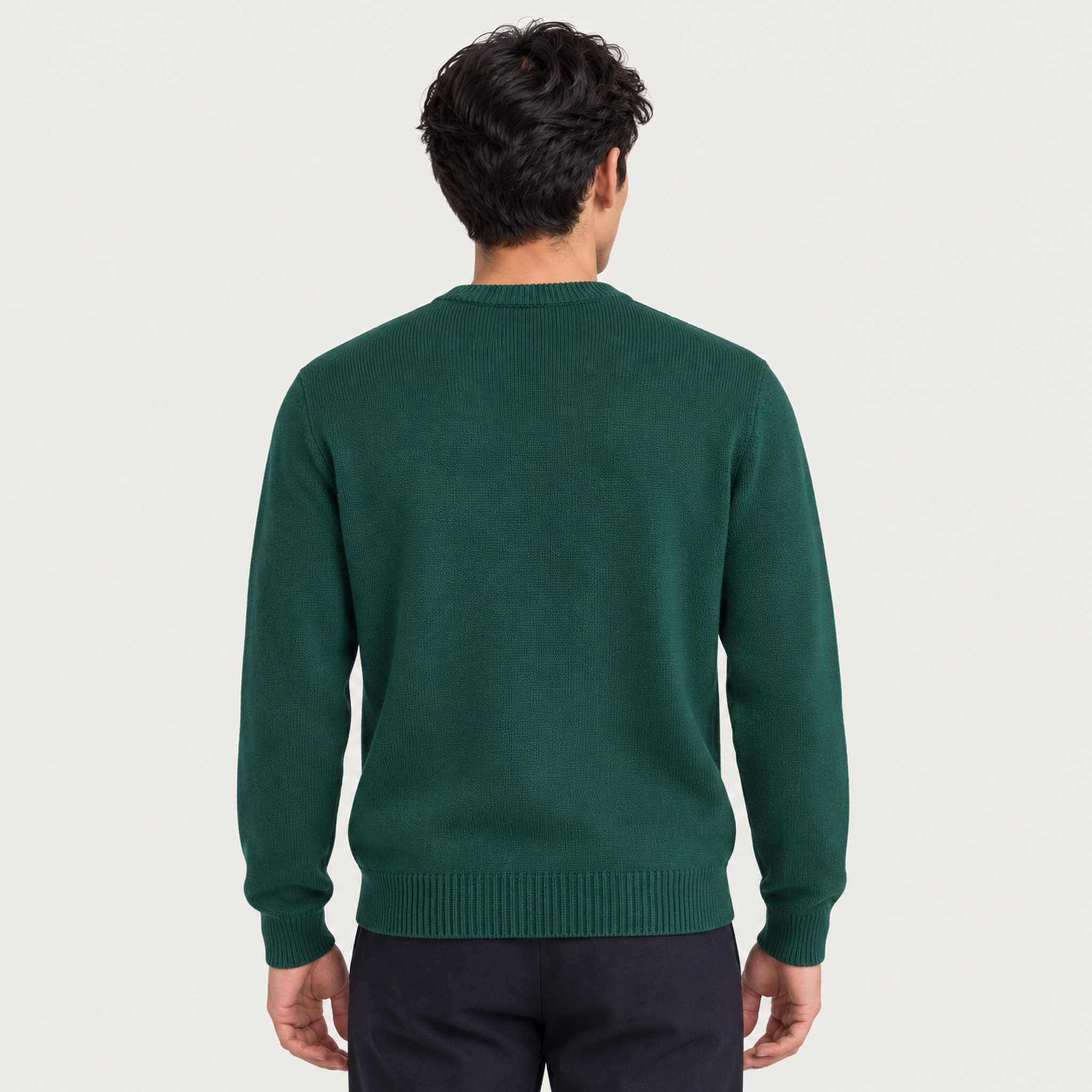 MC2 Saint Barth mens dolomiti skier sweater in green - model back