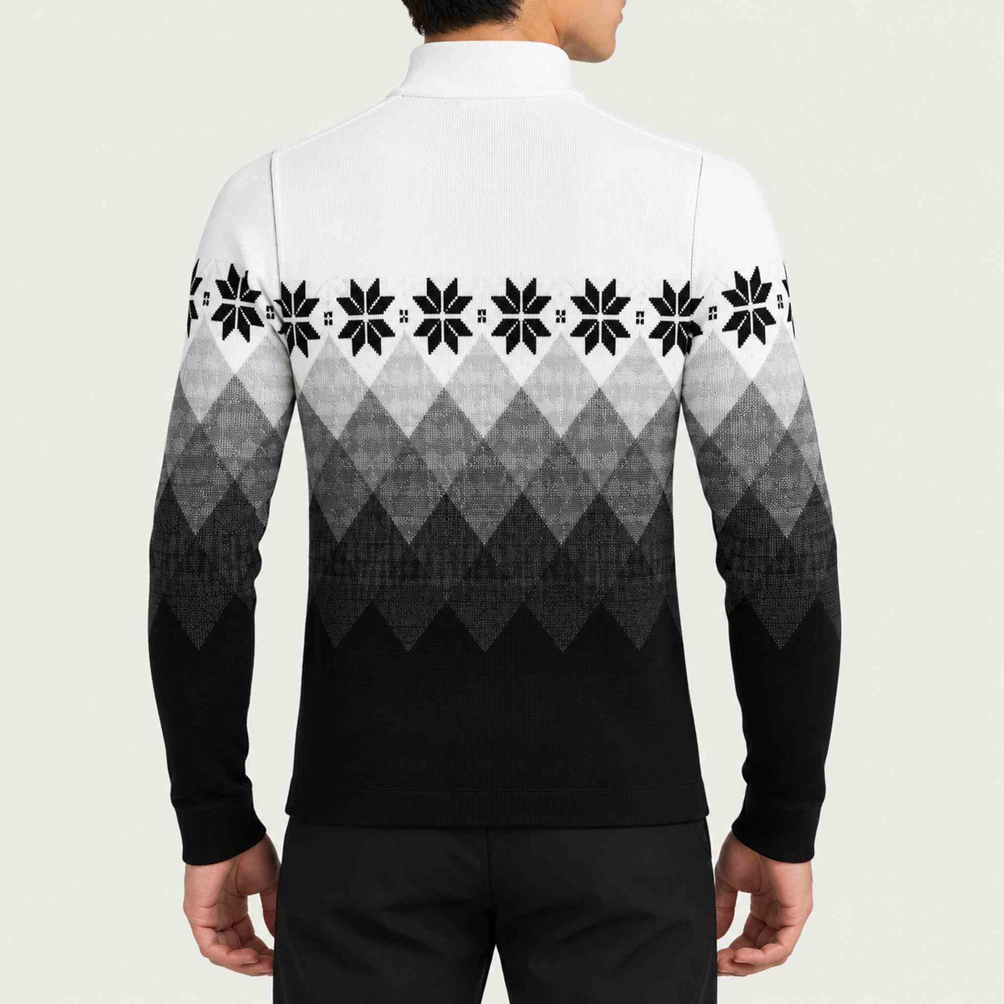 Newland mens Fairbanks Half Zip - model back. AI-generated from supplied artwork.