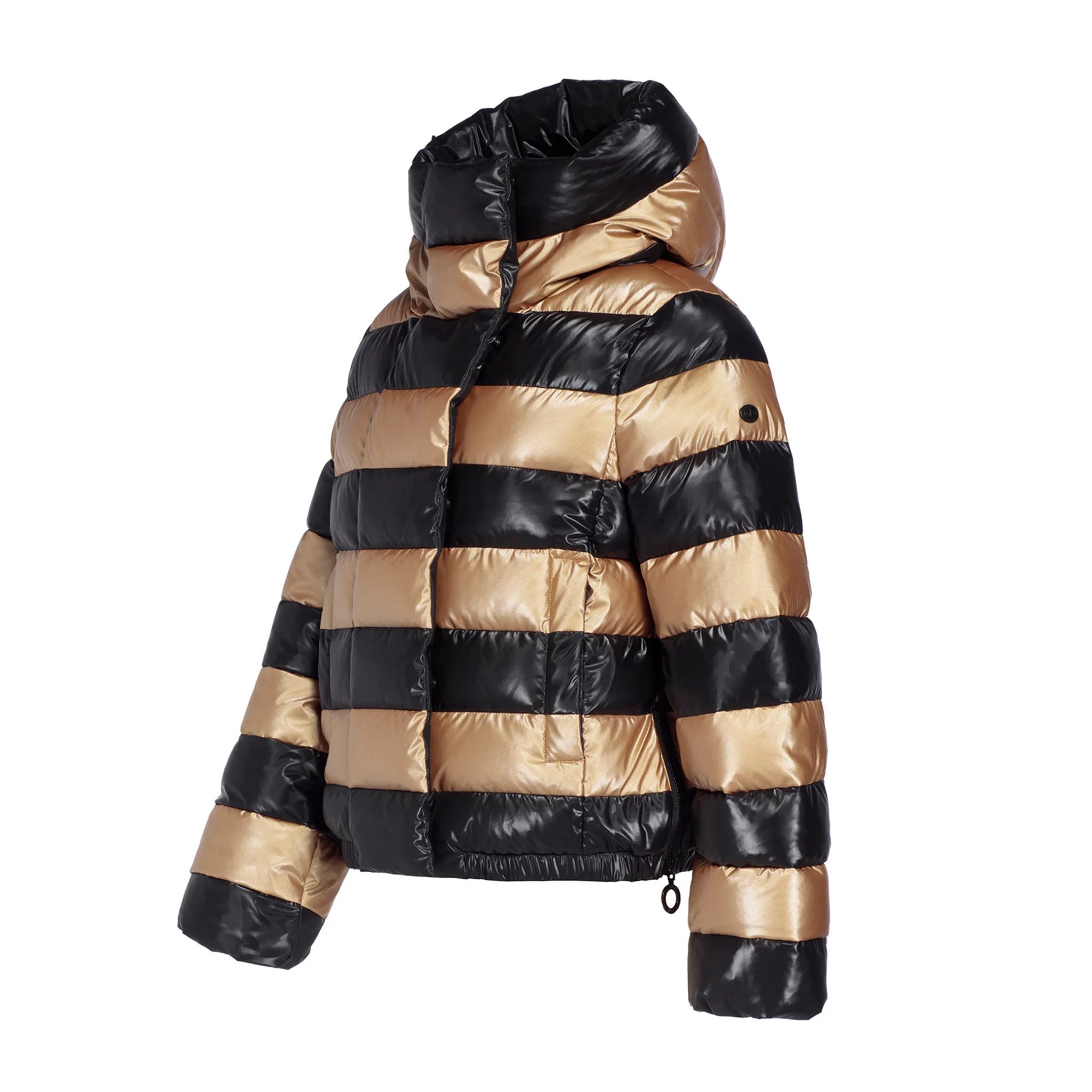 Dazzle Ski Jacket